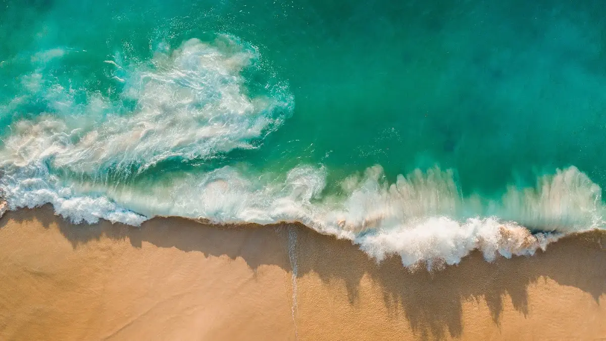 Miami Beach Family & Sports Chiropractic Center — Chiropractic in Miami Beach, Miami