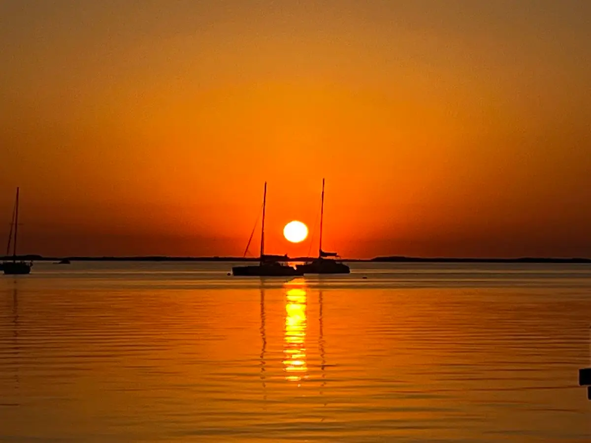 Mind Wellness Services — Psychotherapy in Bluebird Ave, Miami