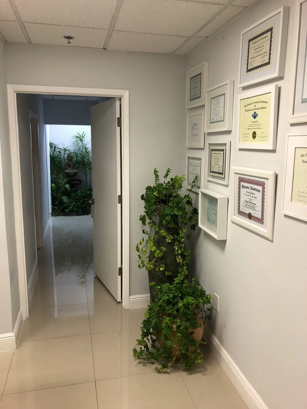 My Long Life Acupuncture — Acupuncture in North Miami, Miami