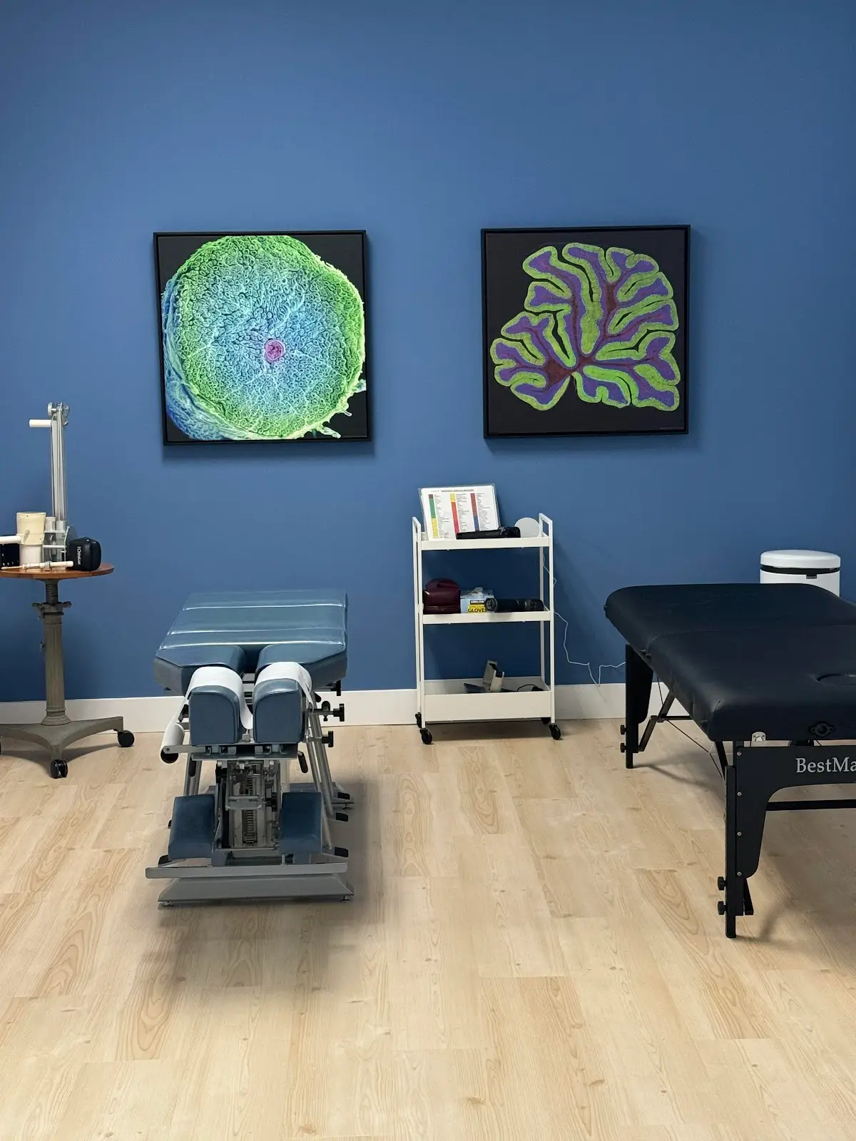 Oasis Chiropractic Center — Chiropractic in Coral Gables, Miami