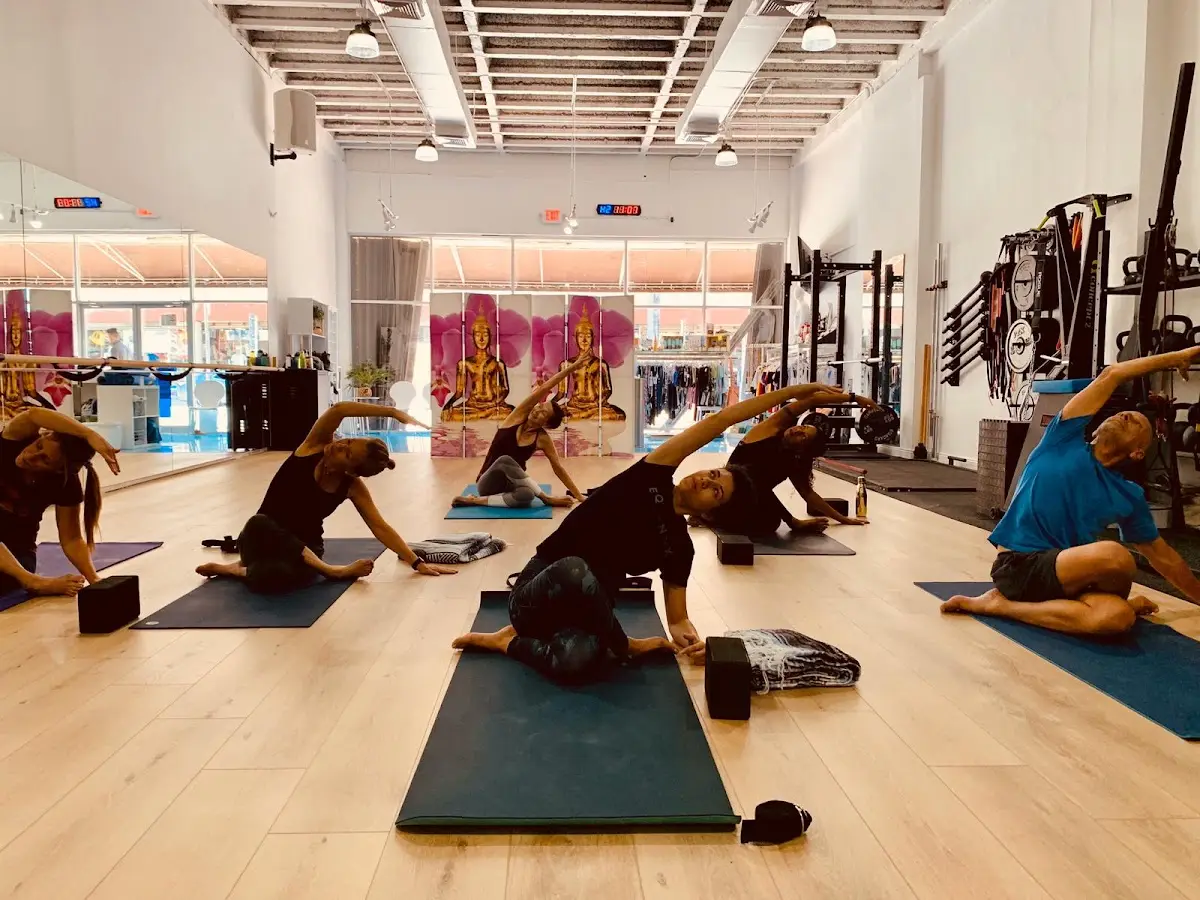 Ocean Life Studio — Yoga, Tai Chi & Pilates in N Miami Ave, Miami