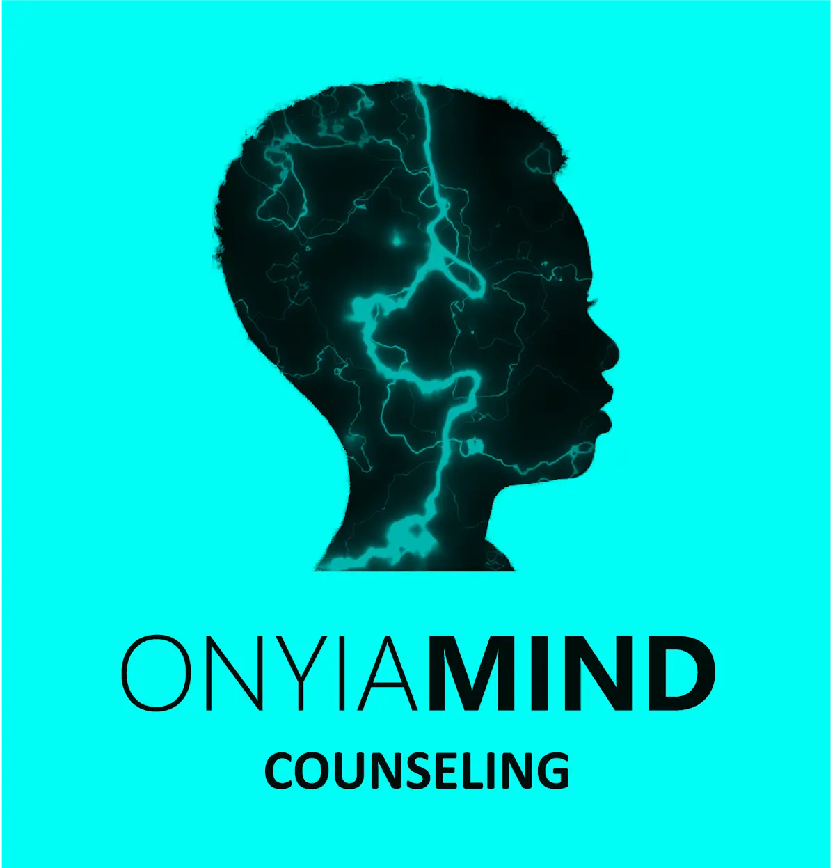 OnyiaMind Counseling, Inc — Psychotherapy in SW 132nd St Suite 104, Miami