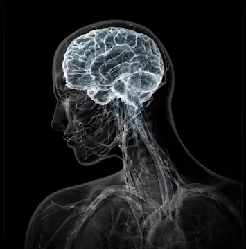 ORIGIN DESIGN HEALING: Subconscious & Somatic Healing — Hypnotherapy & NLP in Miami Beach, Miami