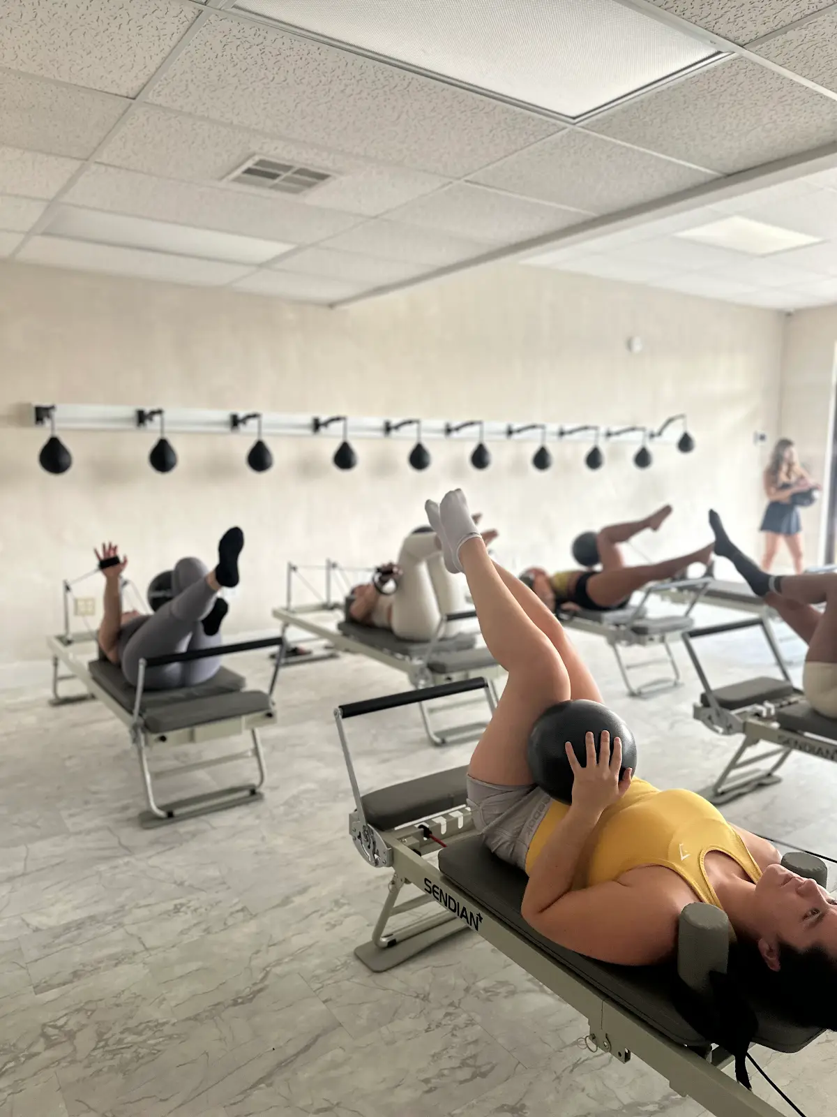 Paws & Poses Miami — Yoga, Tai Chi & Pilates in Bird Rd, Miami