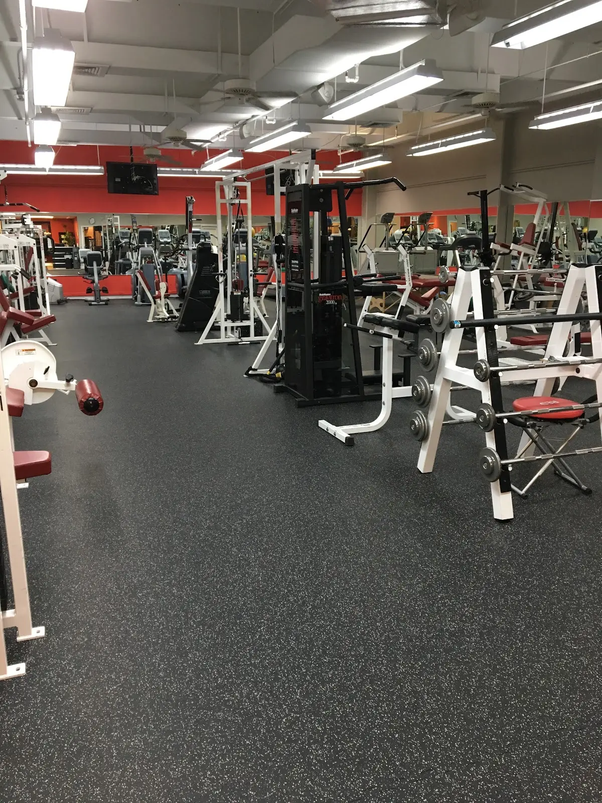 Prime Sports Wellness Physical Therapy, PT — Physical & Rehabilitation Therapy in S Bayshore Dr 7th FL Garage, Miami