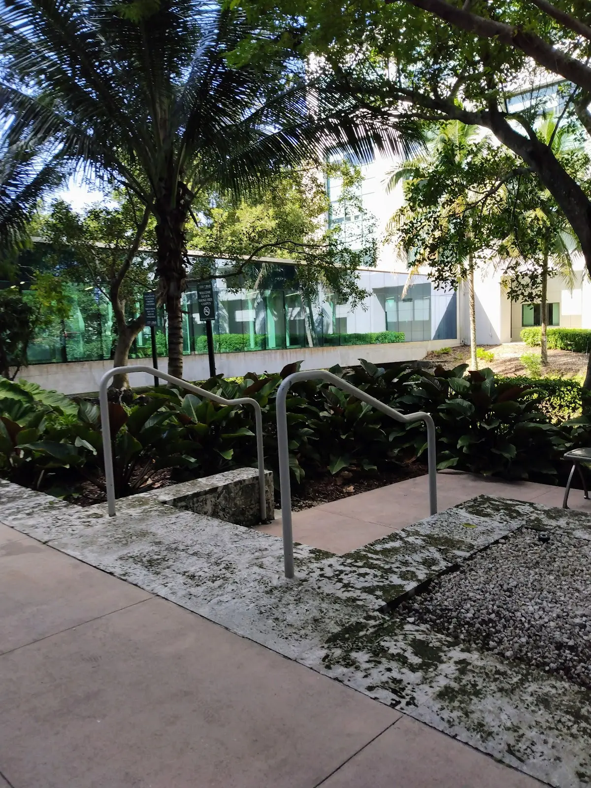 Sports Medicine | The Lennar Foundation Medical Center — Physical & Rehabilitation Therapy in Coral Gables, Miami