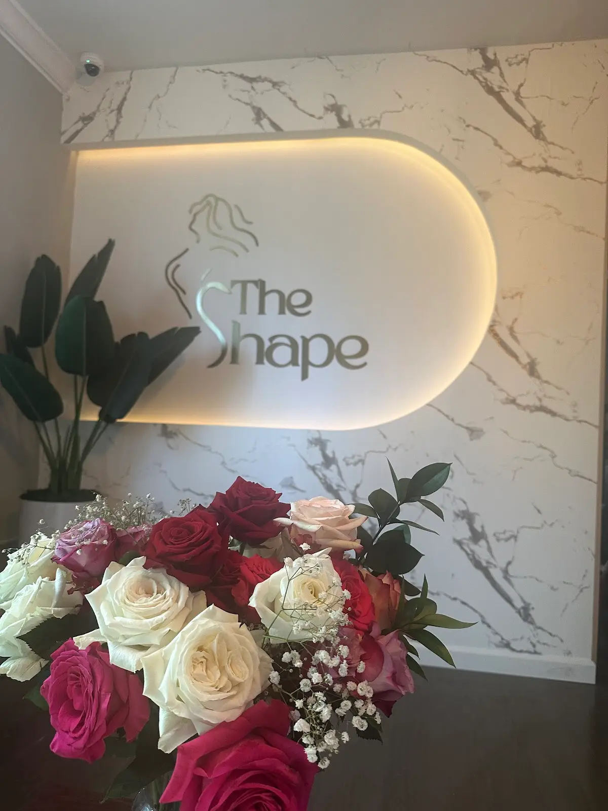 The Shape SPA — Massage Therapy in 4th St 2nd floor, Miami