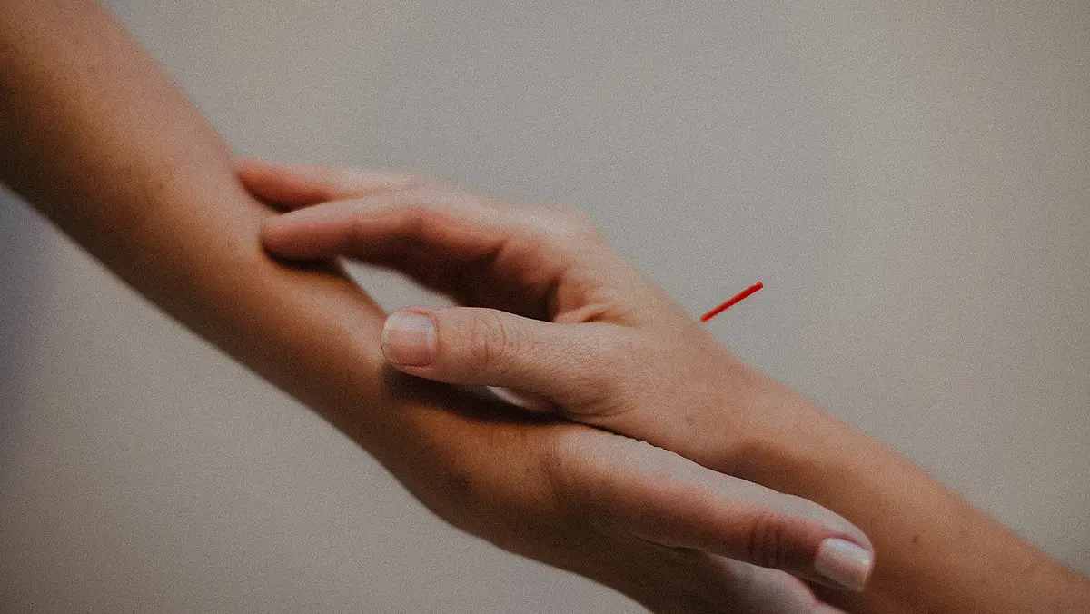 The Yin Institute (Acupuncture Clinic) — Acupuncture in Biscayne Blvd, Miami