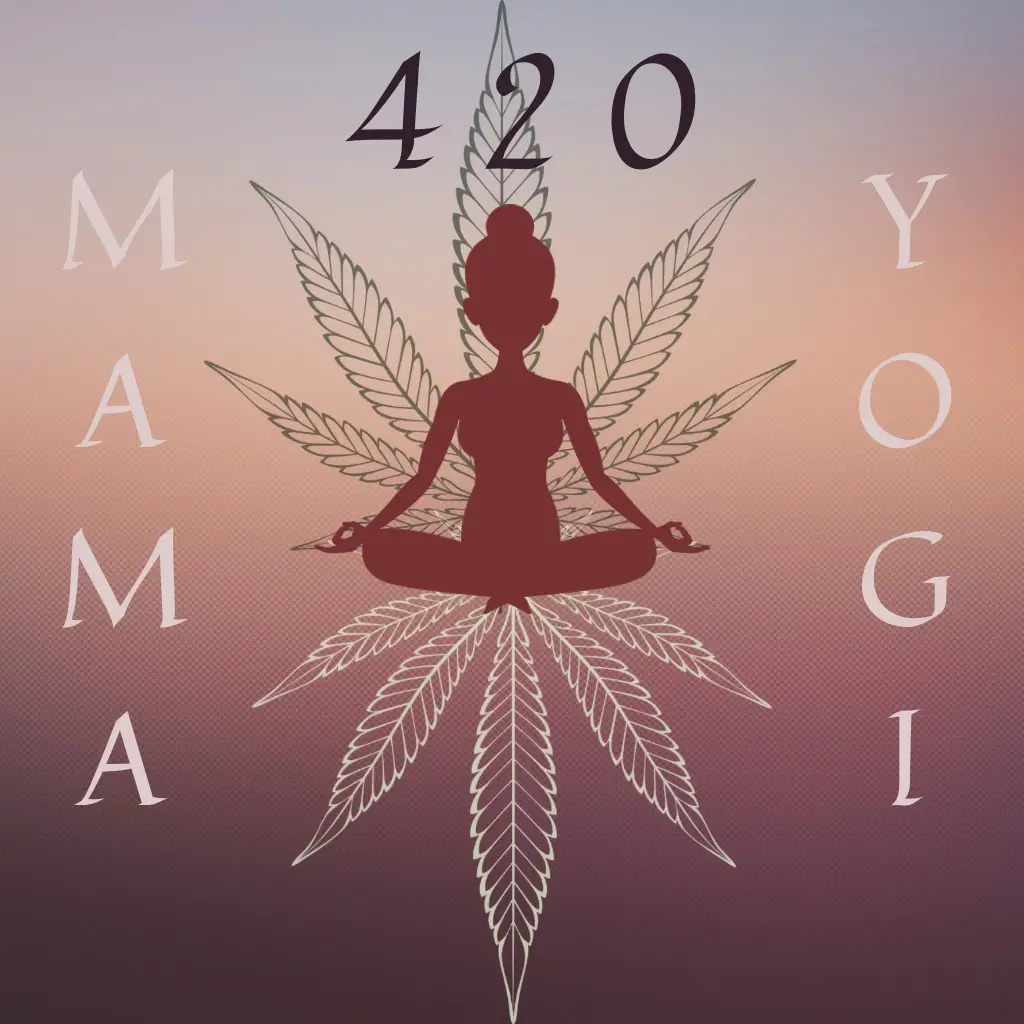 420 Mama Yogi, LLC — Yoga, Tai Chi & Pilates in Degraw Ave, New York