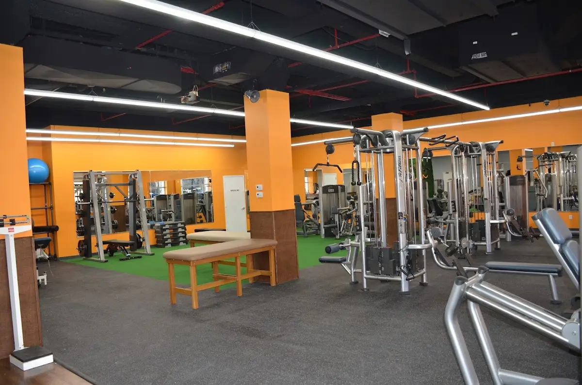 Access Physical Therapy & Wellness — Physical & Rehabilitation Therapy in Bronx, New York