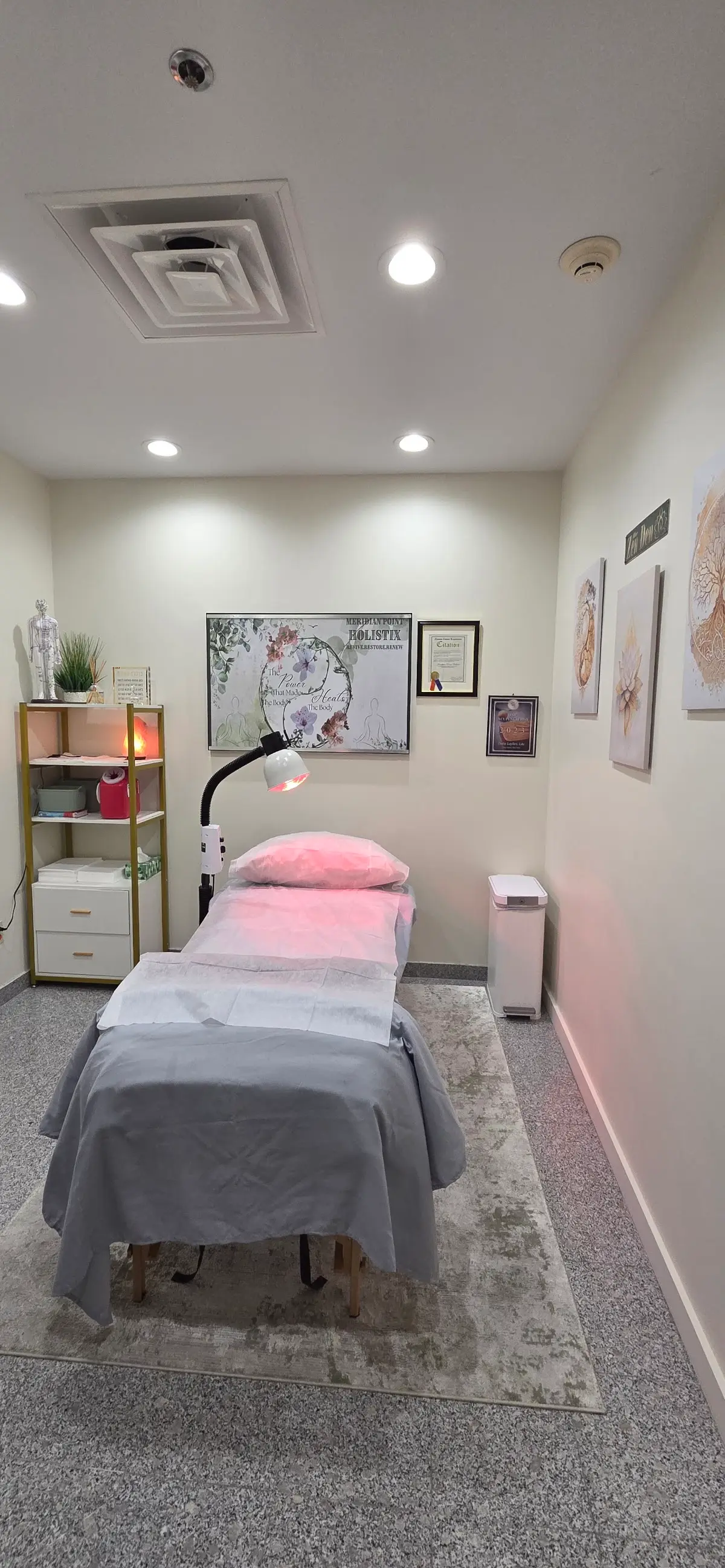 Acupuncture by Dalia:: Meridian Point Holistix — Acupuncture in Great Neck, New York