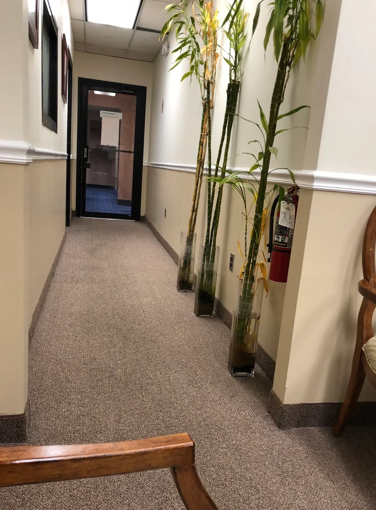 Ann M Wry MD — Naturopathic Medicine in Rochelle Park, New York