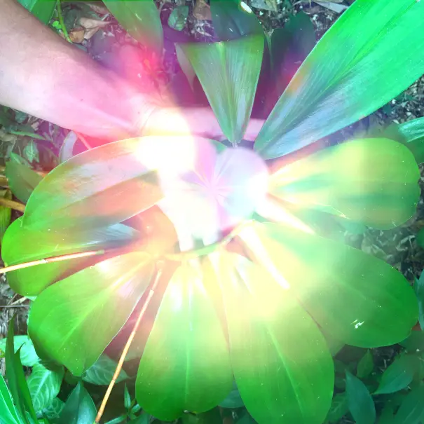 Awakening Vibration - Reiki Healing — Reiki & Energy Medicine in Ashland Pl, New York