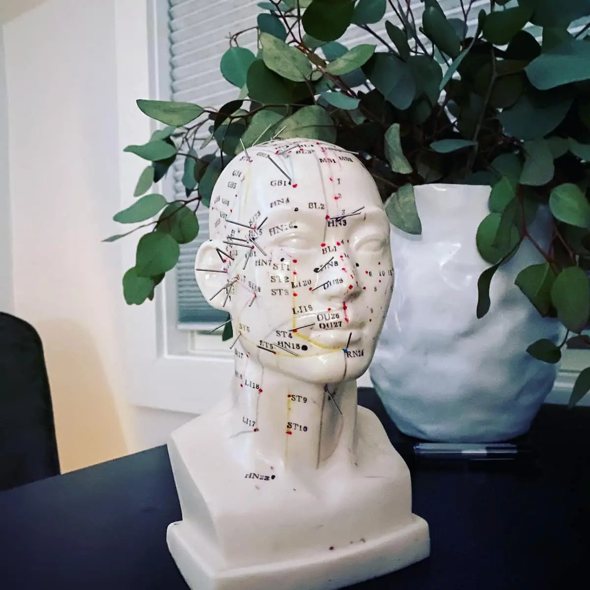 Body Mind Wellness Acupuncture PC — Acupuncture in Bronx, New York