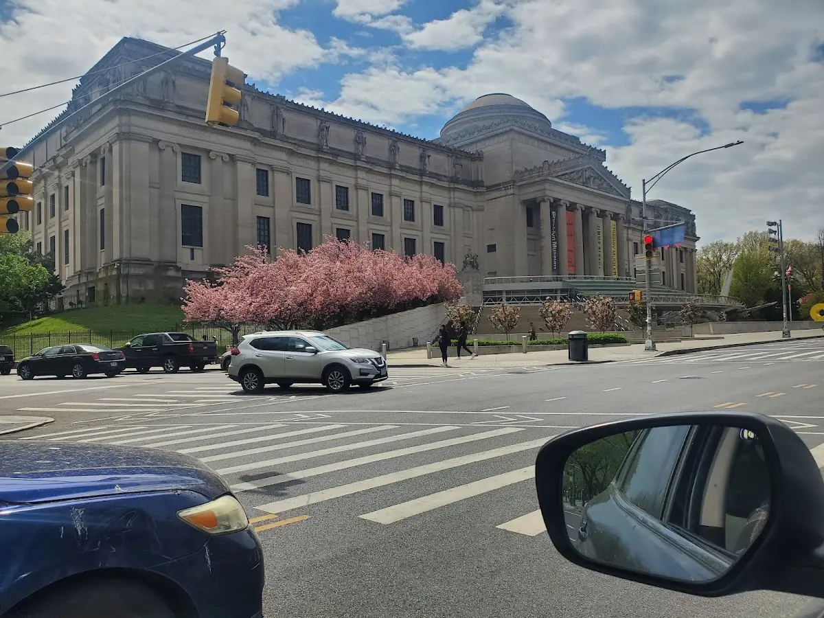 Carrie Cegelis, MS, LAc, LMT, BCST — Hypnotherapy & NLP in Eastern Pkwy #1a, New York