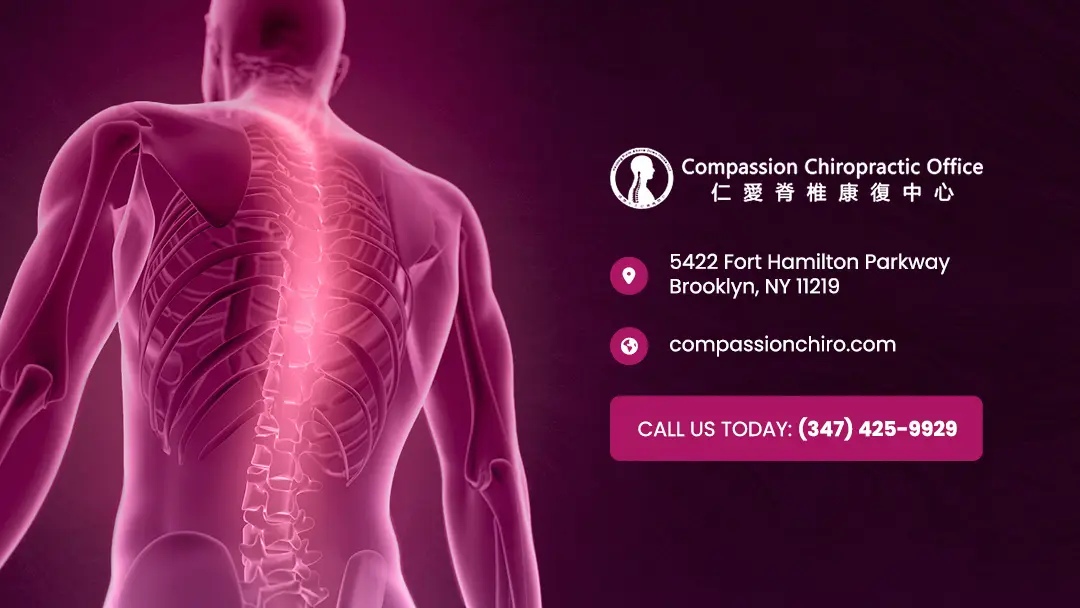 Compassion Chiropractic Office 仁愛脊椎康復中心 — Chiropractic in Brooklyn, New York