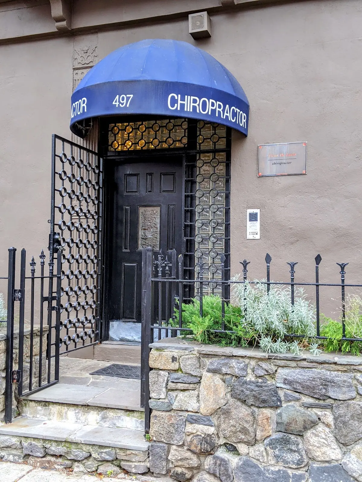 De Lucia Elena DC — Chiropractic in Brooklyn, New York