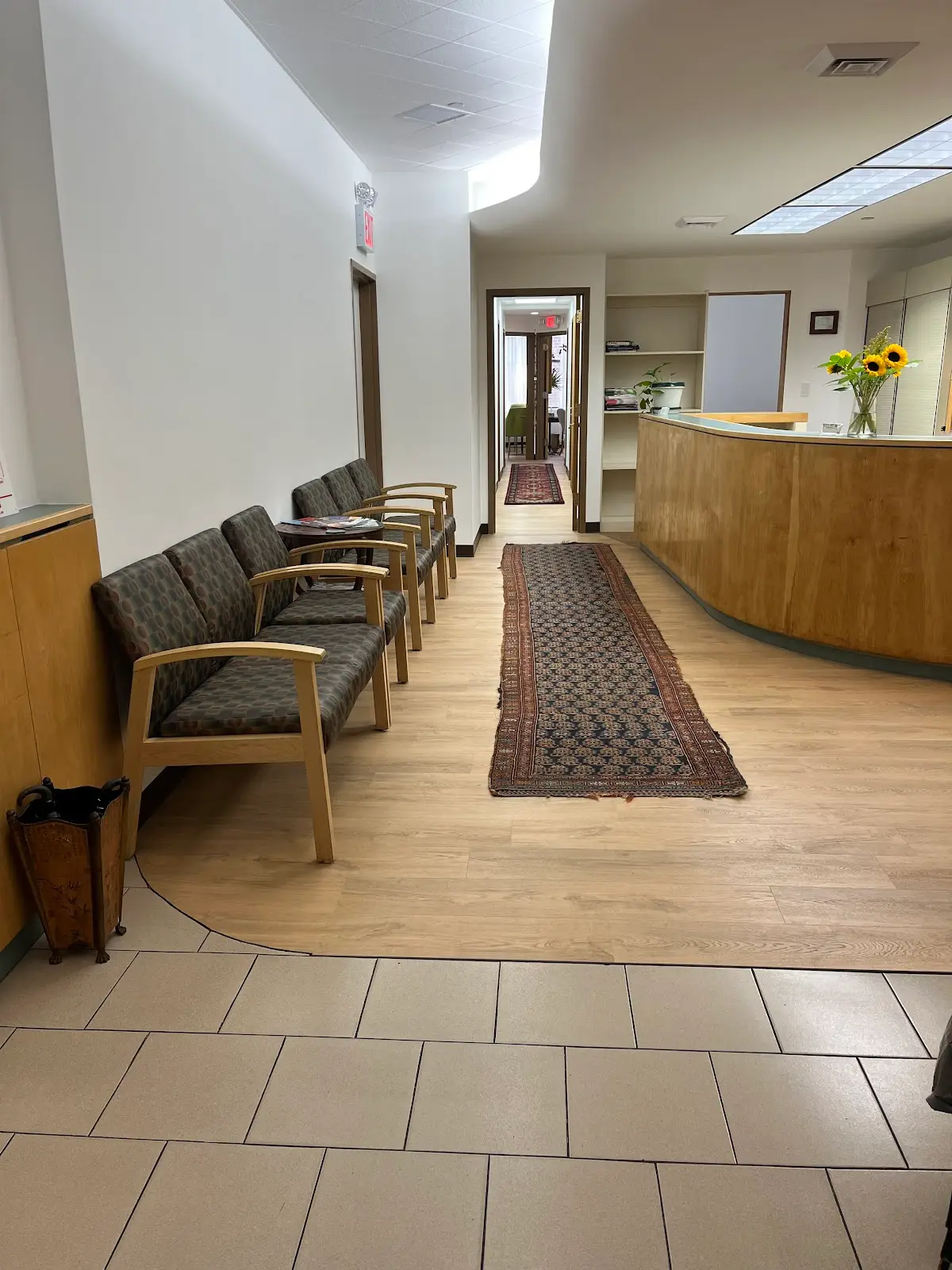 Dr. Anna Panettiere, DACM, LAc, Acupuncture and Herbs — Acupuncture in W 14th St, New York