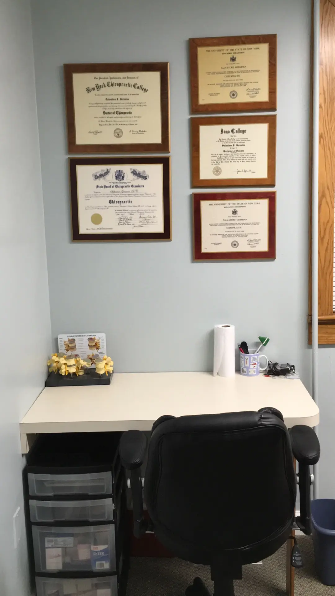 Dr. Salvatore Germino, DC — Massage Therapy in Manor Rd, New York