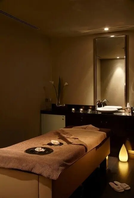 Emily Signature Massage & Spa — Massage Therapy in Wellman Ave, New York