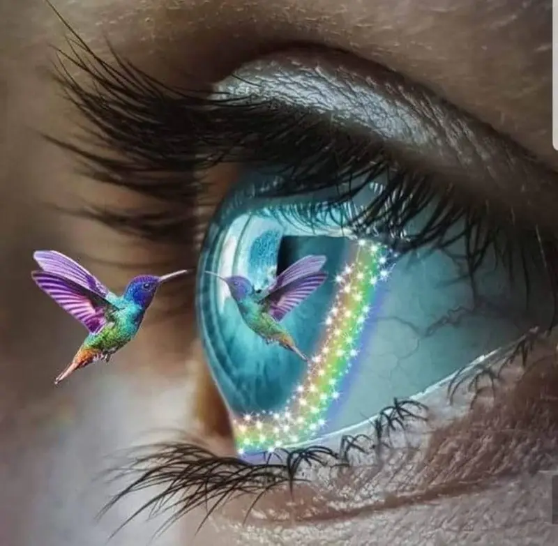 Empower Hypnosis — Hypnotherapy & NLP in -15 Jamaica Ave, New York