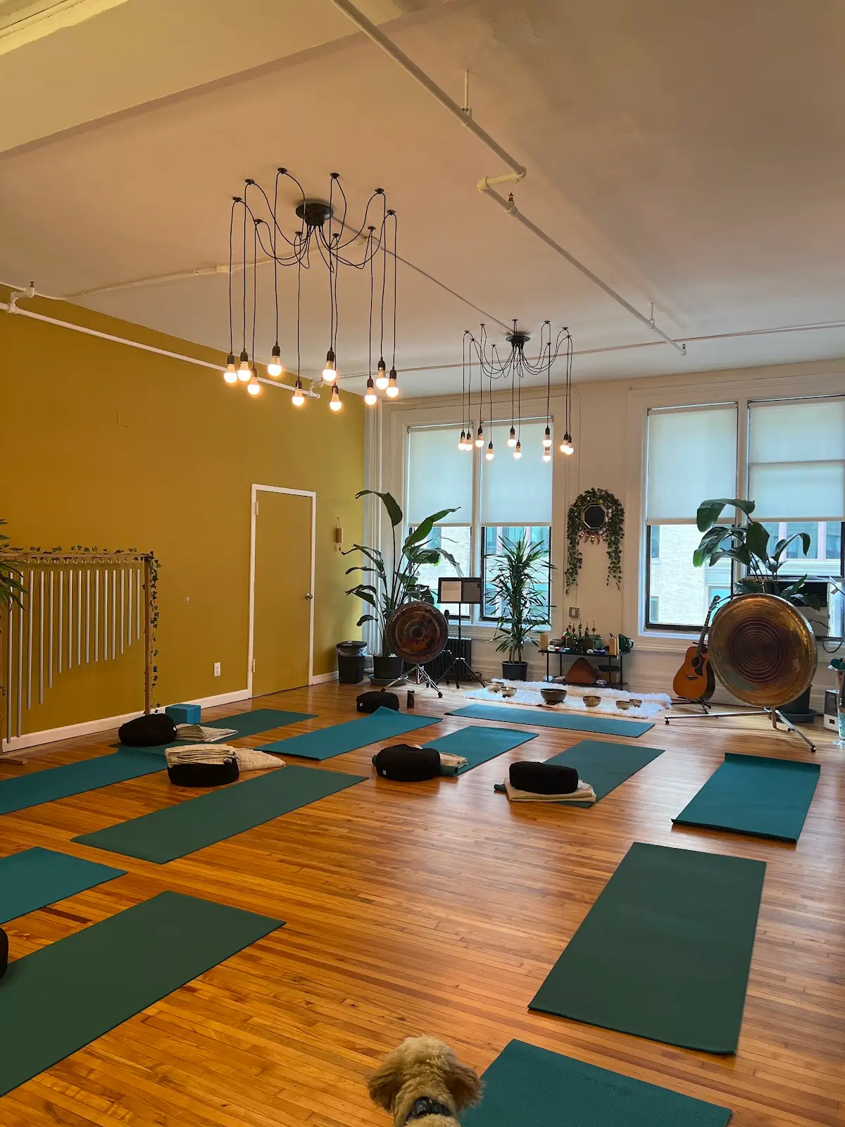 Exequor Wellness — Counsellors & Mentors in 5th Ave Suite 700, New York
