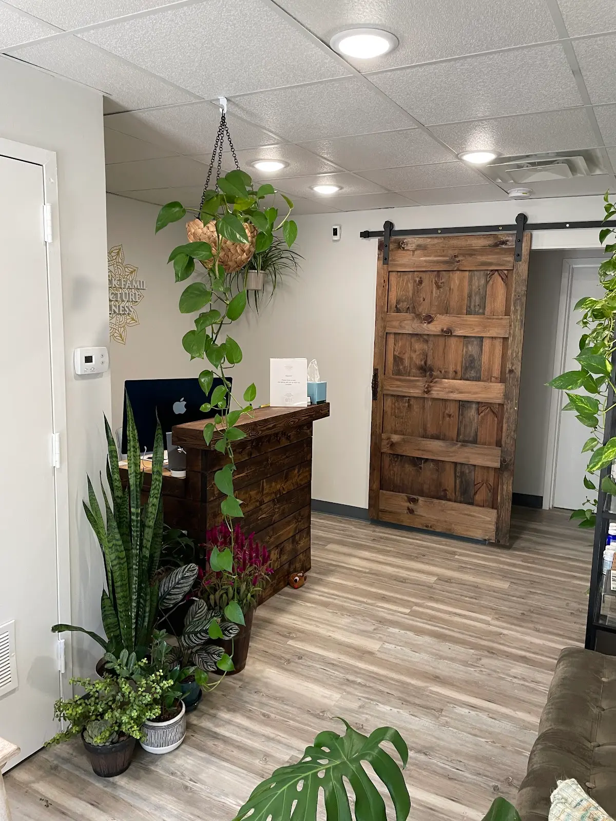 Hackensack Family Acupuncture & Wellness — Acupuncture in Hackensack, New York