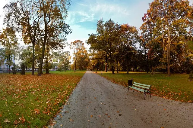 Justin Lioi, LCSW — Psychotherapy in Brooklyn, New York