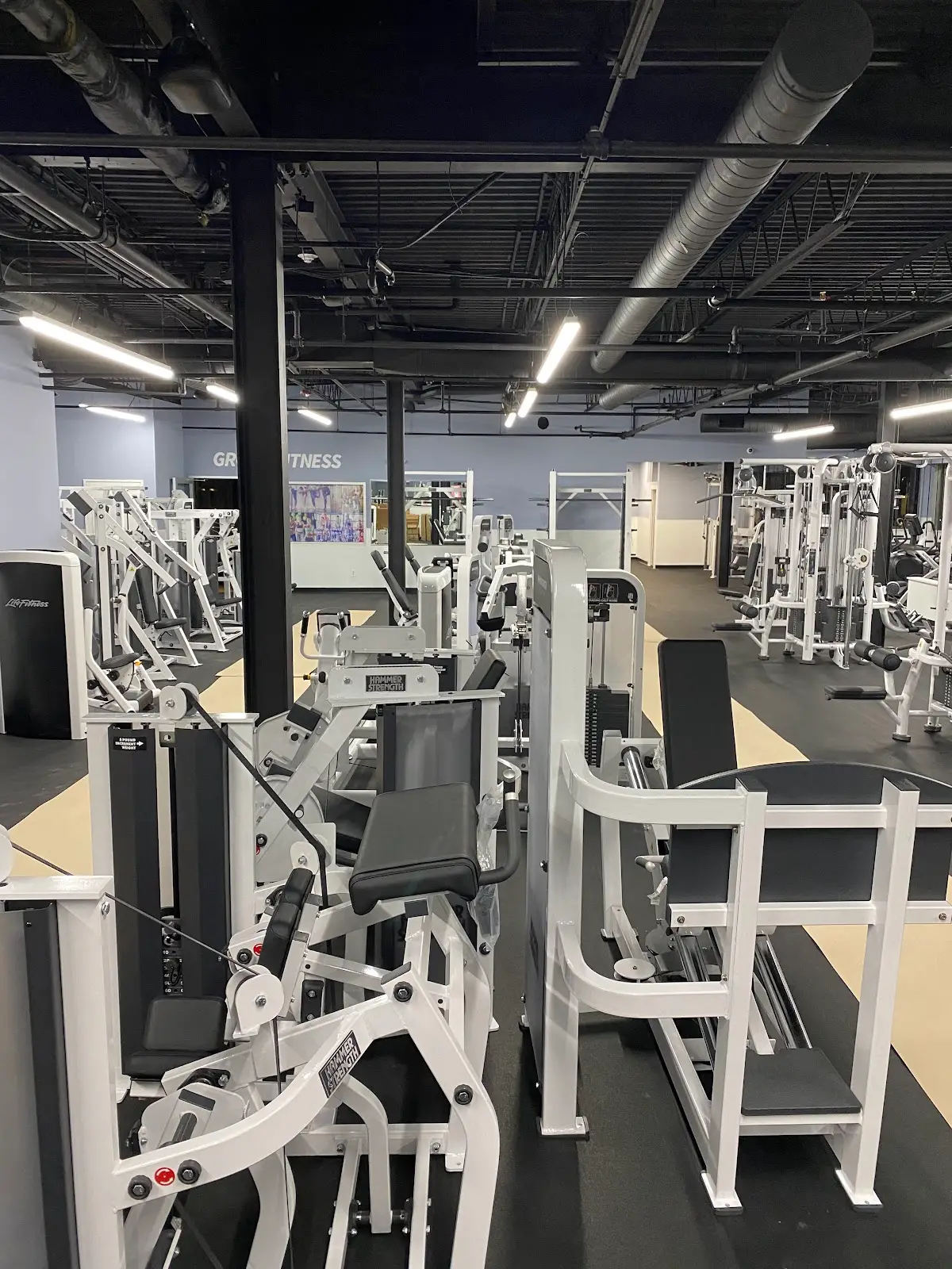 Kings & Queens Elite Fitness Facility — Diet & Nutrition in Hewlett Plaza, New York