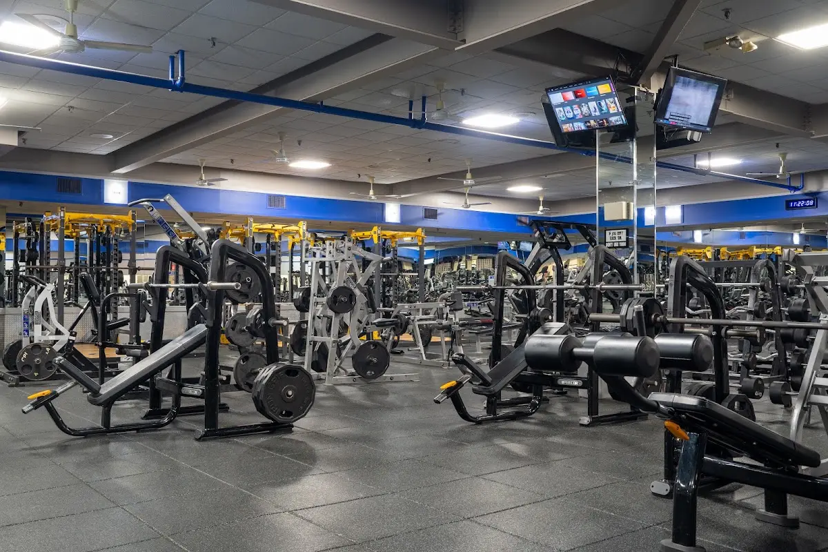 Limitless Fitness — Yoga, Tai Chi & Pilates in -05 Cross Bay Blvd, New York