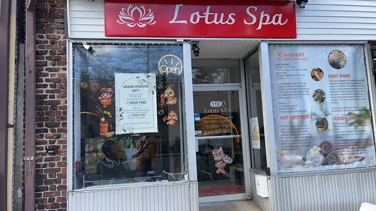 Lotus Spa — Massage Therapy in Wolfs Ln, New York