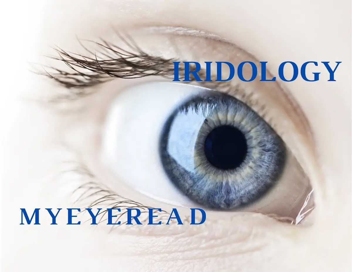 My Eye Read - NYC Iridology Specialist & Vitamin Supplier - Holistic Healing Alternative — Naturopathic Medicine in Fort Washington Ave, New York