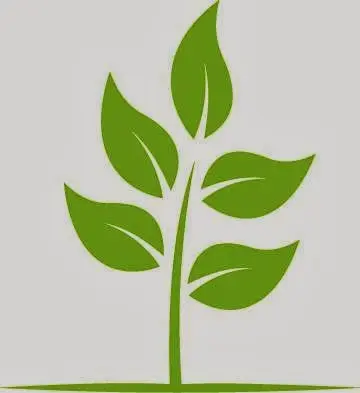 Natural Wellness Center — Hydropathy, Balneotherapy & SPA in -15 251st St SUITE 1, New York