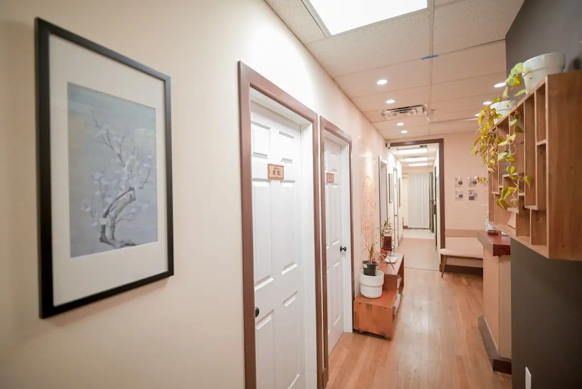 New York Four Seasons Acupuncture — Acupuncture in Flushing, New York