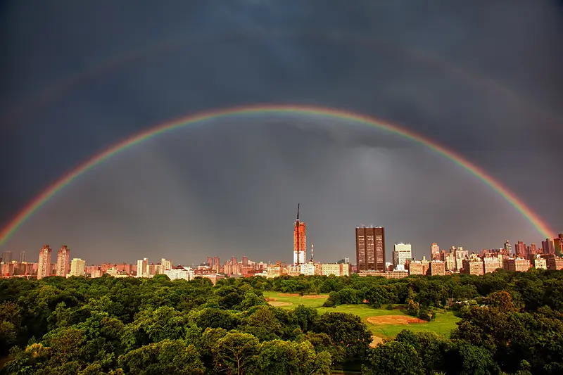 NYC Psychotherapist — Psychotherapy in 5th Ave, New York