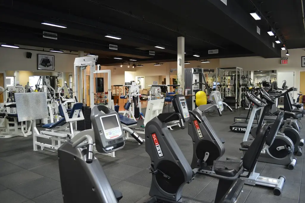 Professional Physical and Hand Therapy - Whitestone/Bayside NY — Physical & Rehabilitation Therapy in Whitestone, New York