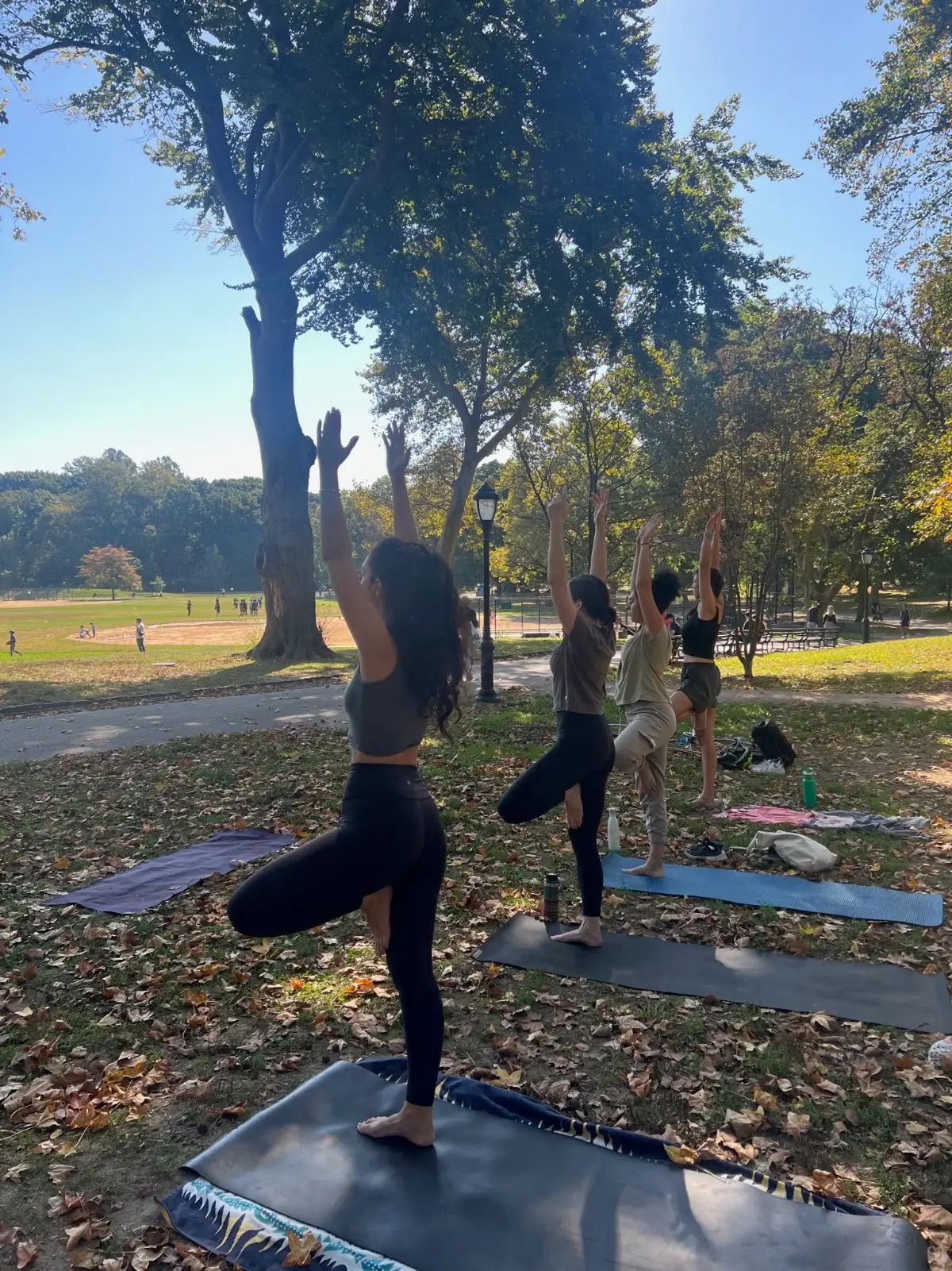 Prospect Park Yoga - Grand Army Plaza — Yoga, Tai Chi & Pilates in .670376 73.969756, New York