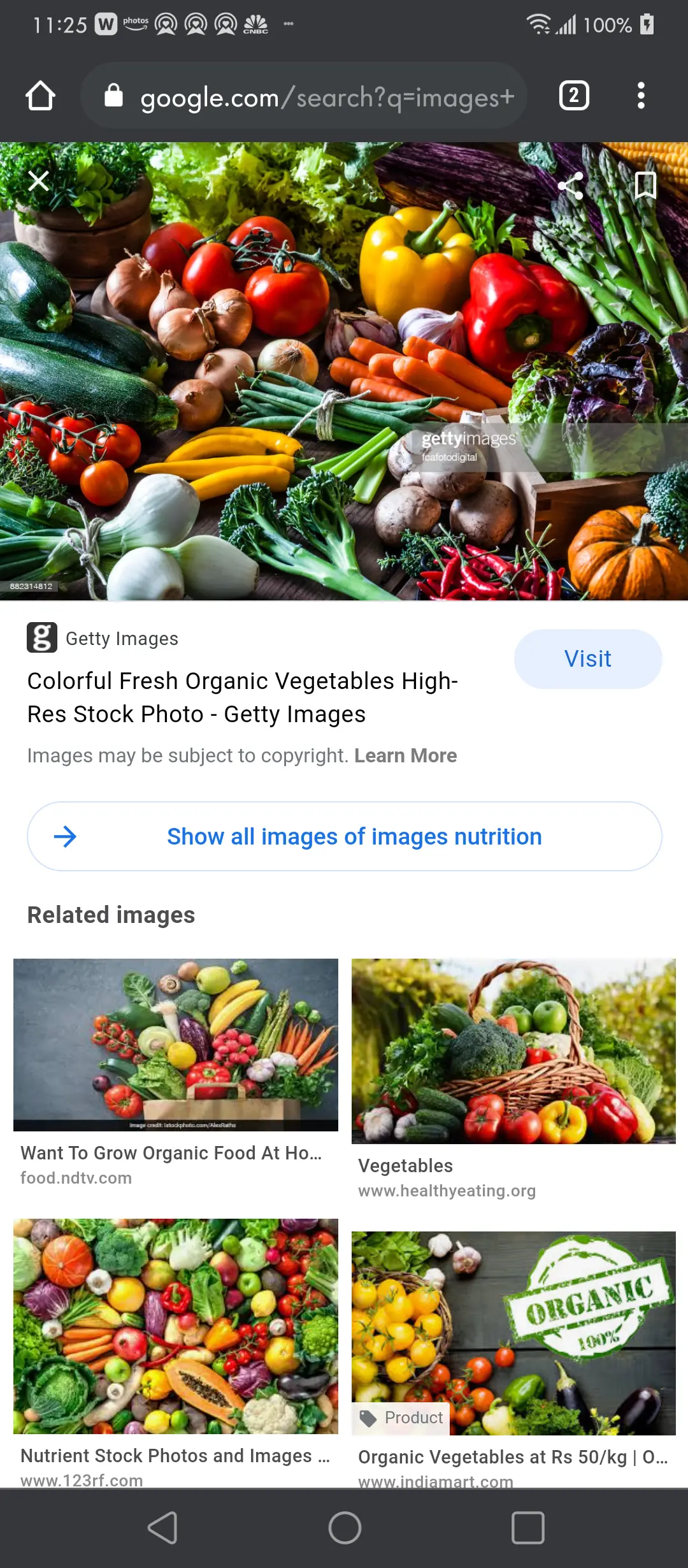 REJUVENATE WITH RIBNICK — Diet & Nutrition in Brooklyn, New York