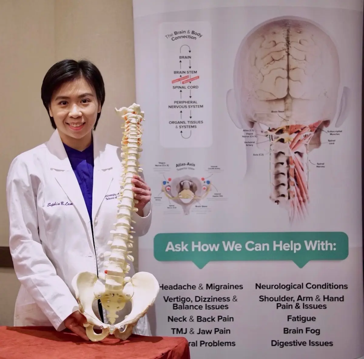 Sophia Lam Chiropractic,P.C. — Chiropractic in Bayside, New York
