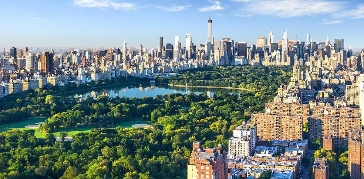 Wellness Road Psychology — Psychotherapy in E 42nd St, New York