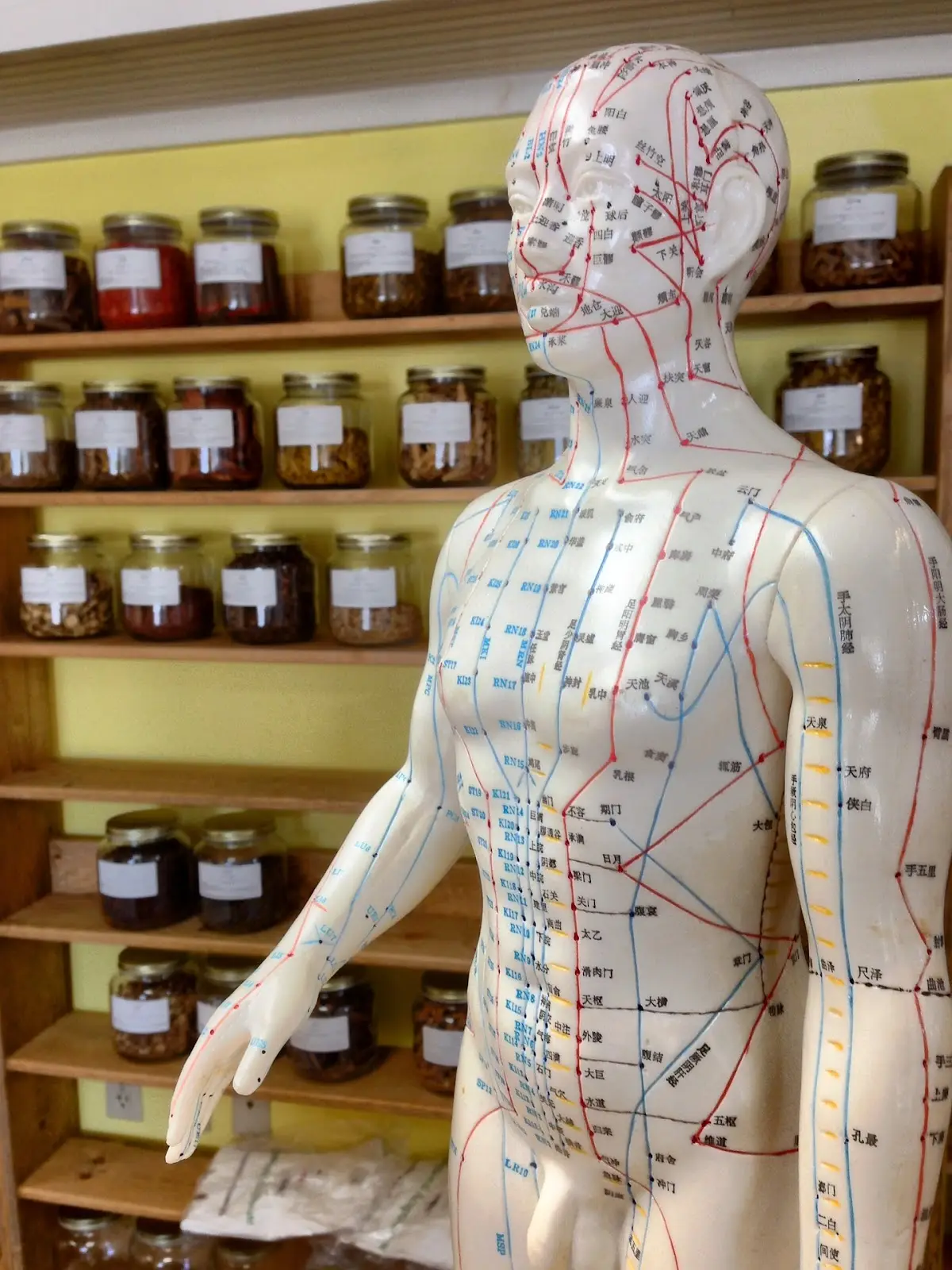 Yin Wah Chan Acupuncture, PLLC — Acupuncture in Pinehurst Ave Ground, New York