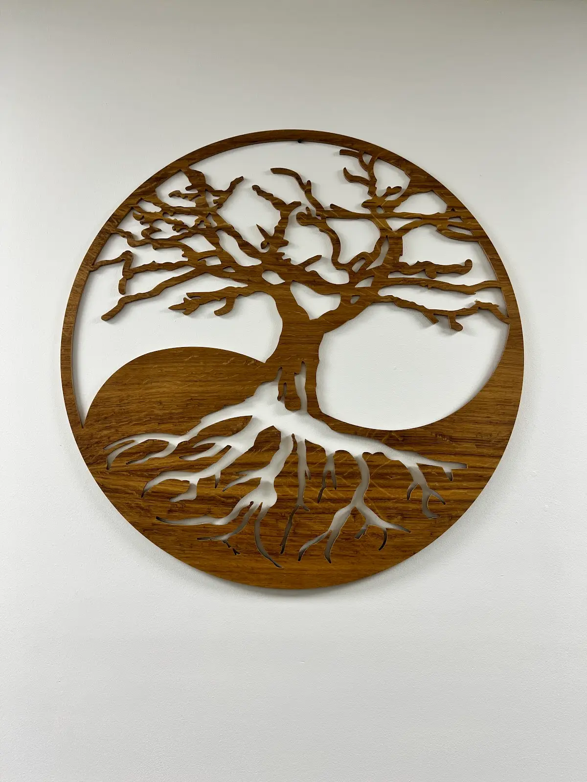 YSC Acupuncture — Acupuncture in Brooklyn, New York