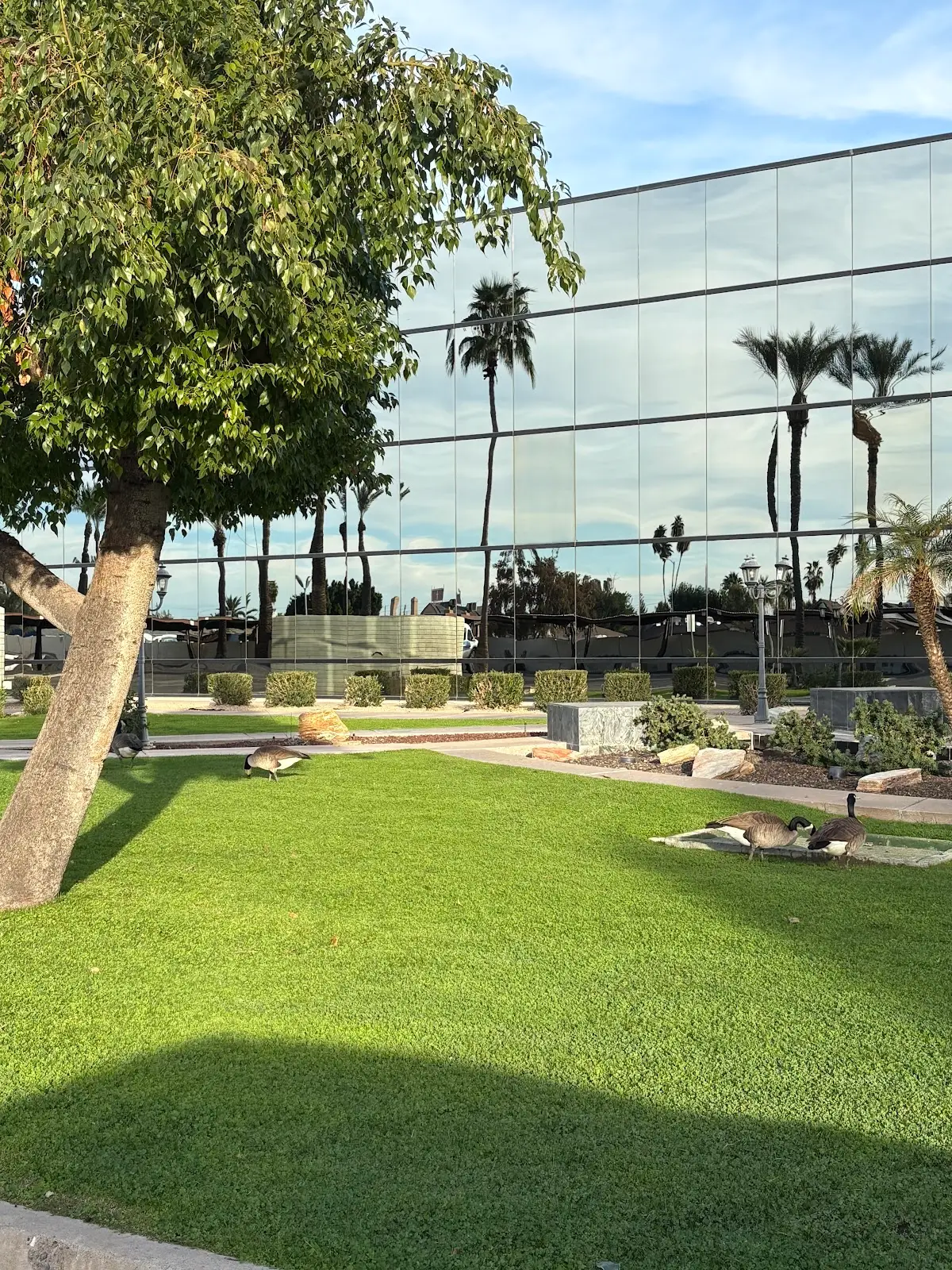 Alternative Medicine & Education Center — Reiki & Energy Medicine in N 28th Dr Ste 215, Phoenix