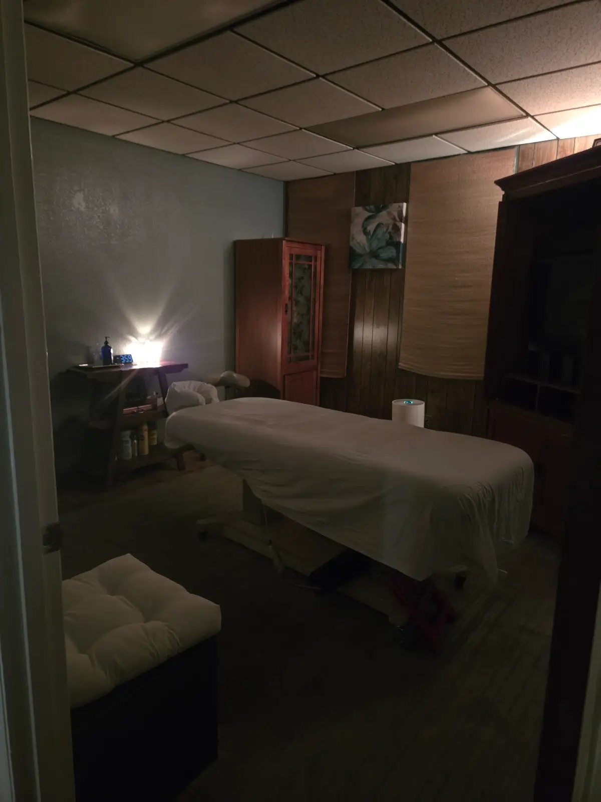 Destination Nirvana Wellness — Massage Therapy in N Dysart Rd Ste E, Phoenix