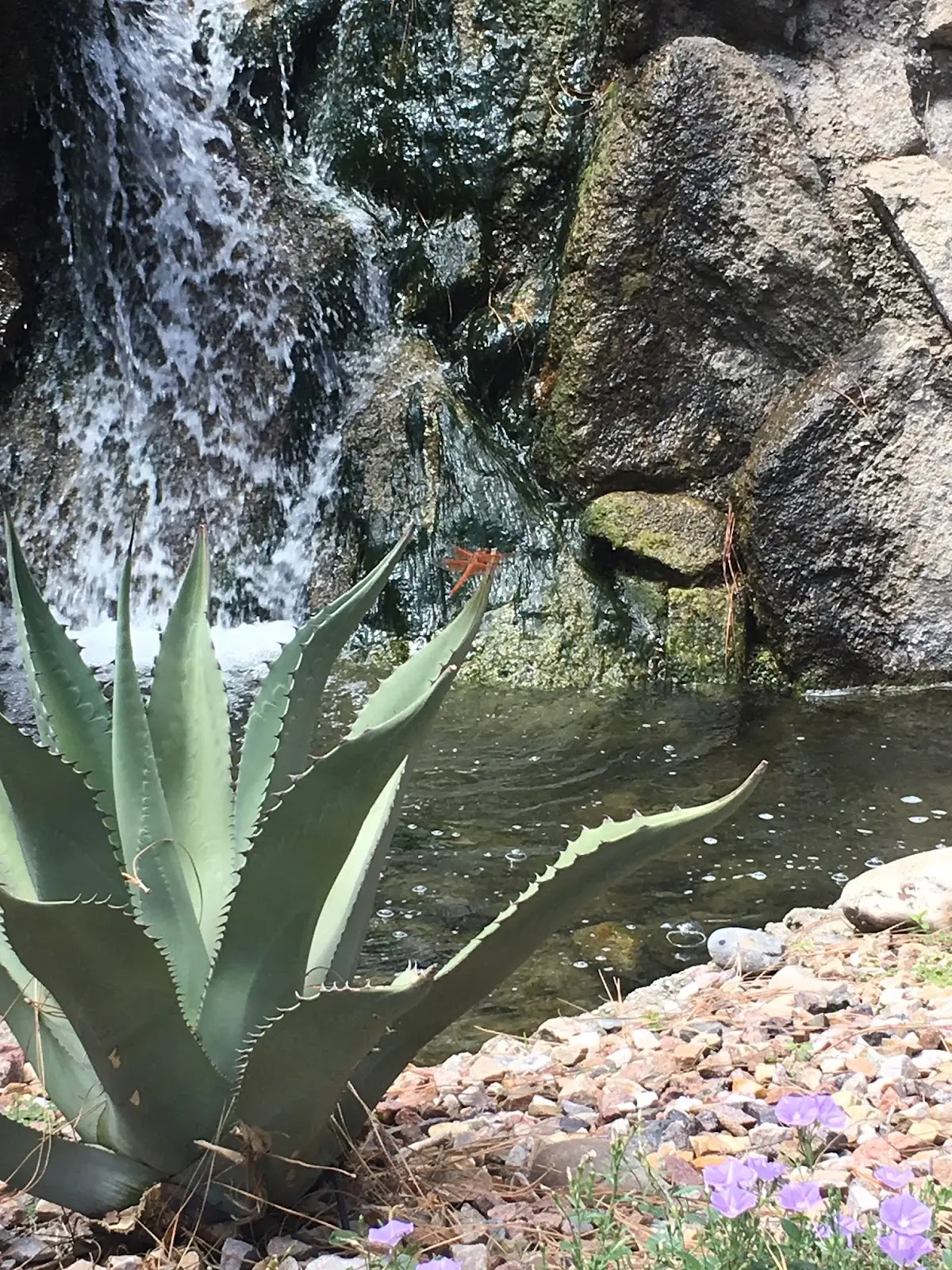 GUIDING ELEMENTS MEDICAL CENTER — Hydropathy, Balneotherapy & SPA in E Bethany Home Rd Ste a-207, Phoenix