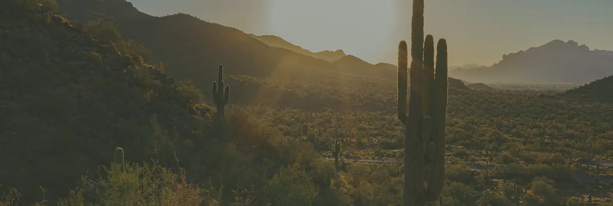 Lumē Wellness — Diet & Nutrition in Peoria, Phoenix