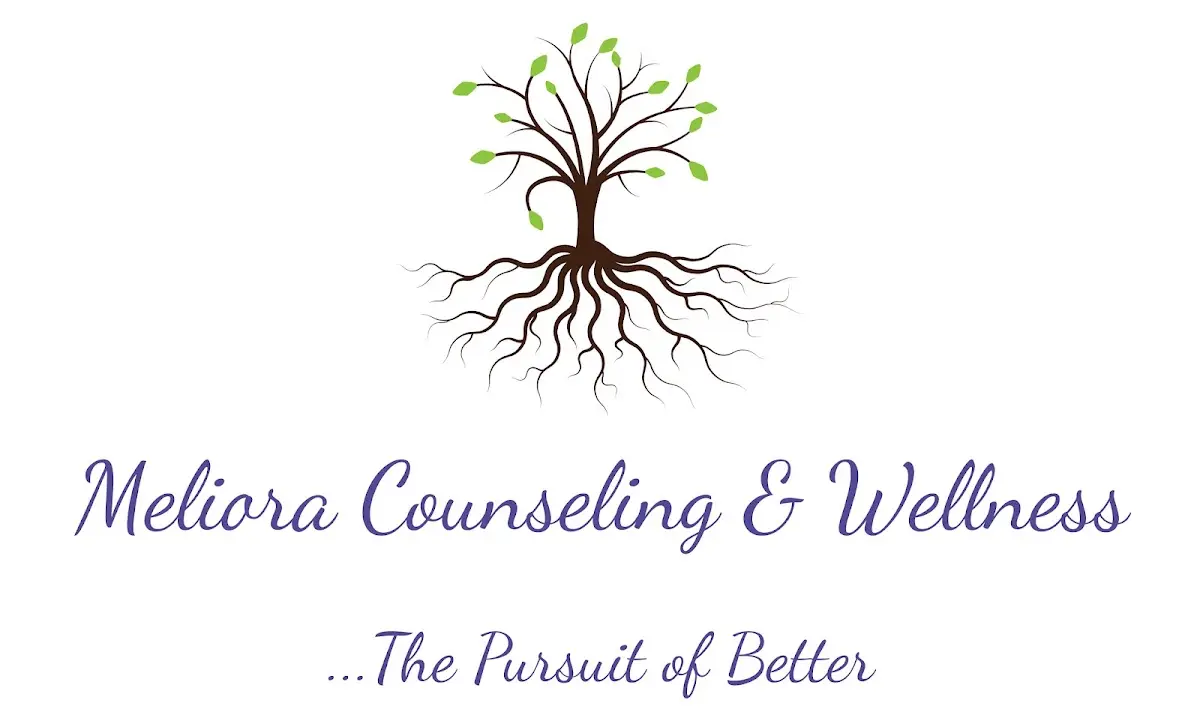 Meliora Counseling & Wellness — Psychotherapy in N 31st Ave, Phoenix