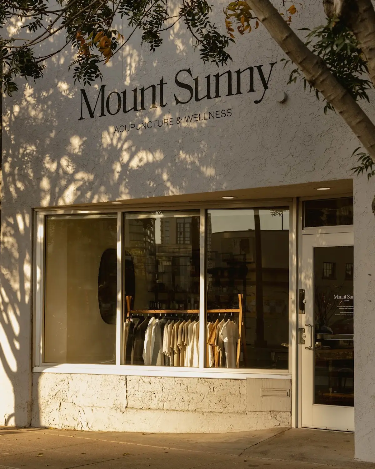 Mount Sunny — Acupuncture in N Central Ave, Phoenix