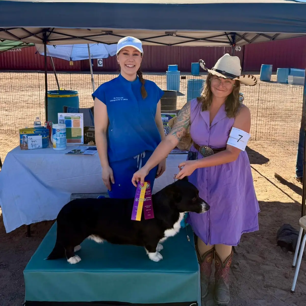 Sports & Family Care Clinic — Chiropractic in S 40th St, Phoenix