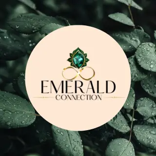 The Emerald Connection — Reiki & Energy Medicine in N Miller Rd Ste 218, Phoenix